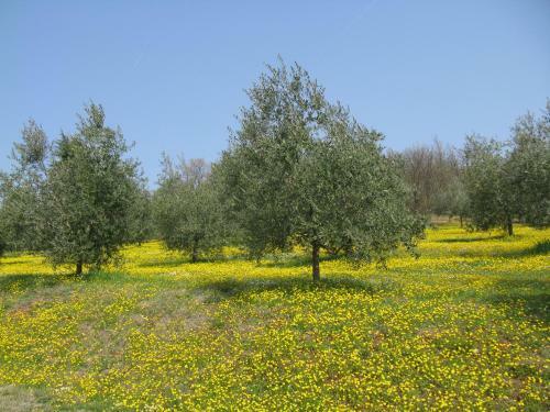 Bed & Breakfast Paglia E Fieno
