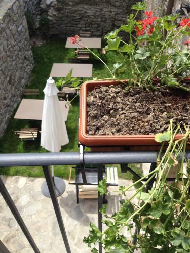 Apartamento Agriturismo Il Castagneto Di Apella