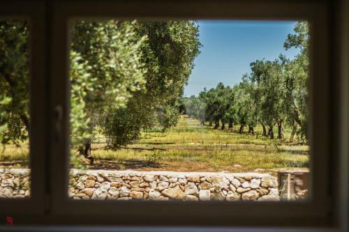 Agroturismo Terreamare