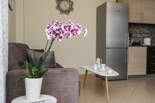 Kalamata Alex Apartments