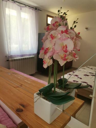 Apartamento Dvori