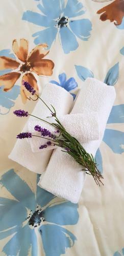 Apartman Ana
