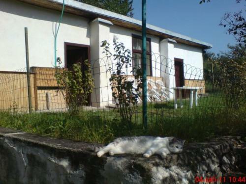 Pron�jem Pokoj? Belle Vue