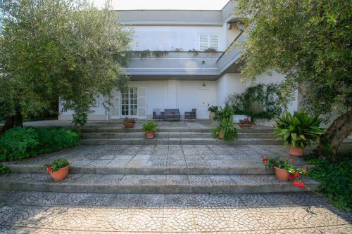 B&B Arli
