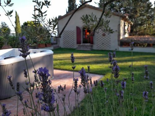 Apartamento Podere Mezzastrada