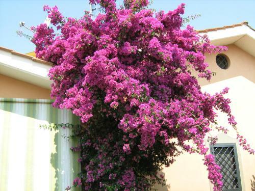 B&B Sedici Pini