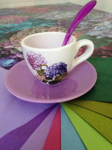 Bed & Breakfast Le Ortensie Di Via Rossetti
