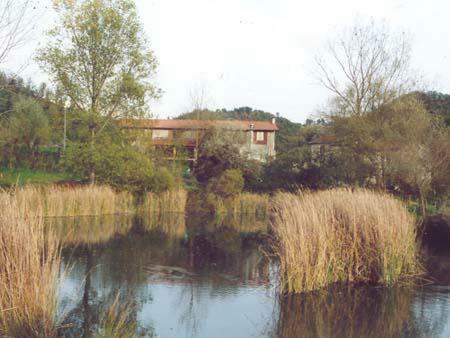 Agroturismo Agriturismo Il Picchio Verde