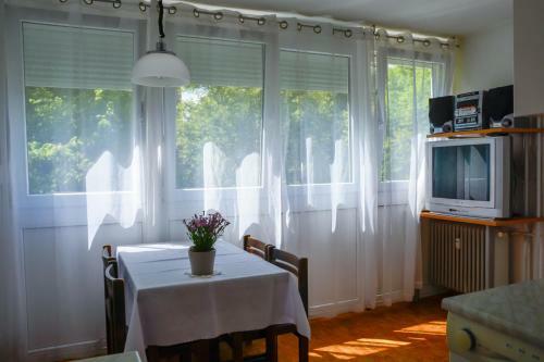 Homestay Rosalia