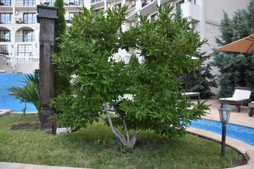 Pearl Beach Apartments In The Cliff Resort 2