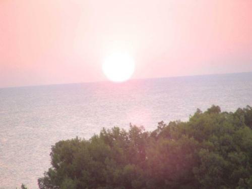 Apartamento Villa Felicia