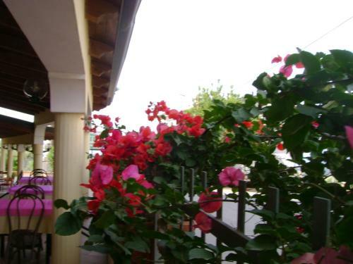 B&B Belvedere