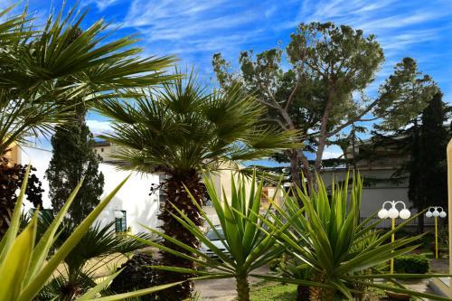 B&B Villa Garden