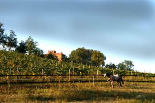 Agroturismo La Cascina Del Castello