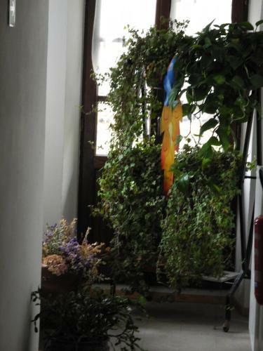 Hostal Locanda Bocchetto Sessera
