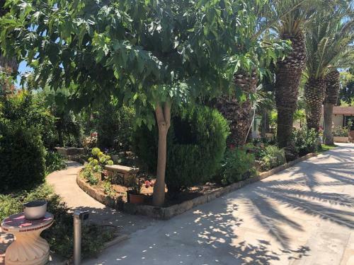 Hostal Villa Yucca