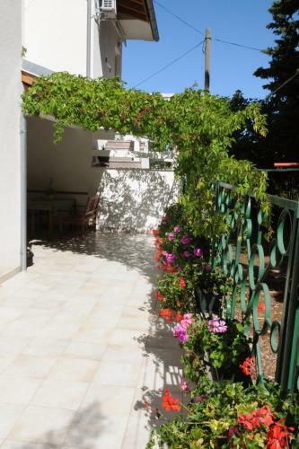 Apartmani Dora Murter