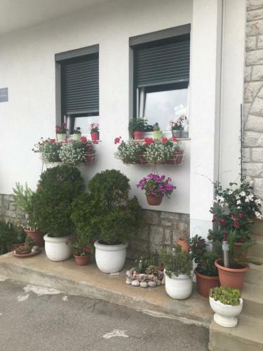 Apartments Porat