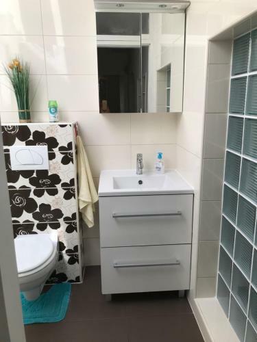 Apartments Porat