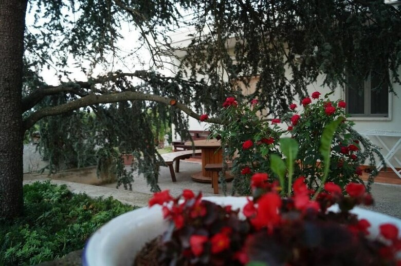 Bed & Breakfast La Casa Del Nonno