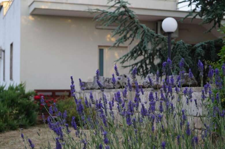 Bed & Breakfast La Casa Del Nonno