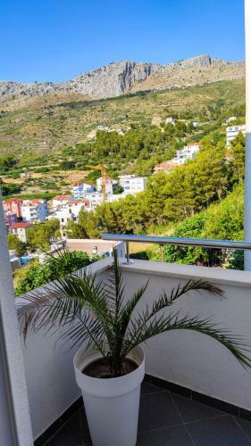 Apartman Jelena