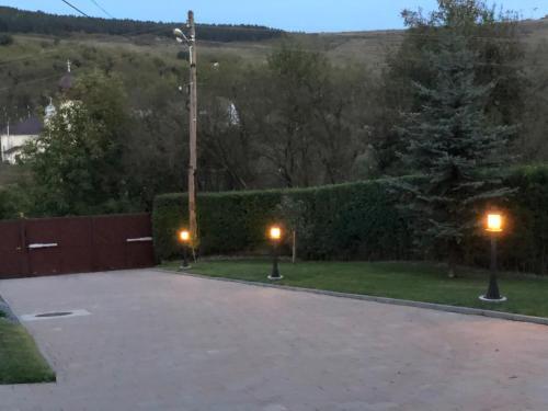 Villa Floarea *****