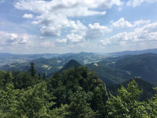 Lodge Domki Letniskowe W Pieninach