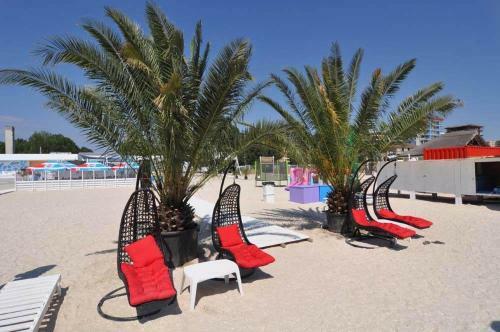 Delice Apartament Mamaia