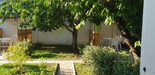 Hostal Julia Guesthouse