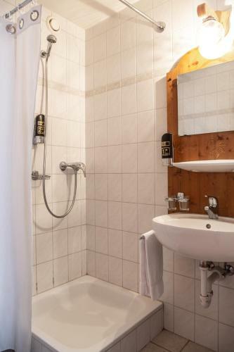 Hotel H�tel Le Relais Alpin