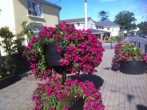 Liosderrig House B&B