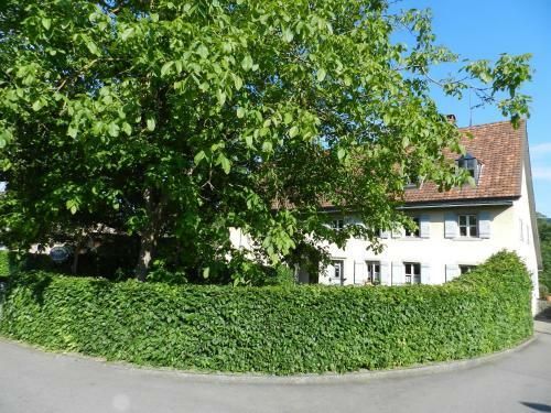 Bed & Breakfast Blue Wall Bnb