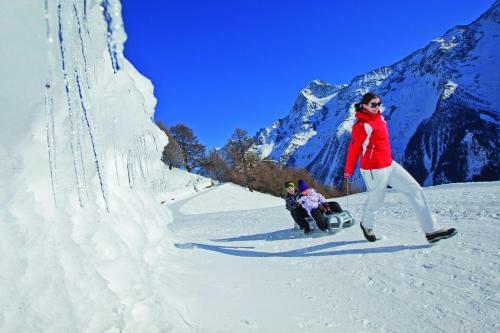 Alpenhotel Zur Wildi