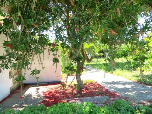 Spacious Apartment On The Beach, Methoni