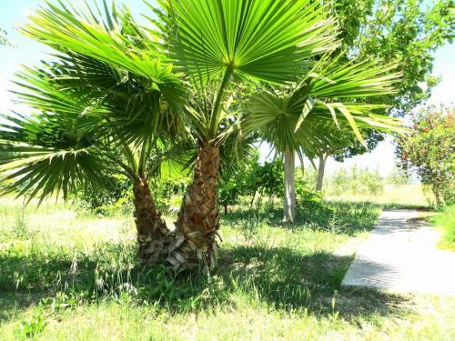 Spacious Apartment On The Beach, Methoni