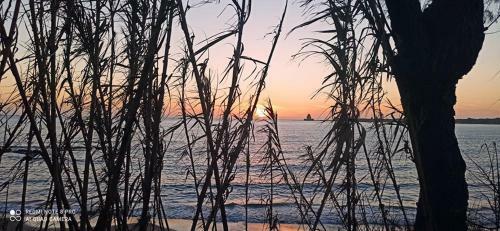 Spacious Apartment On The Beach, Methoni