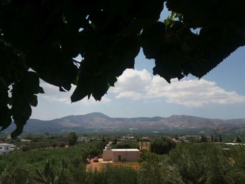 Apartamento Pasiphae