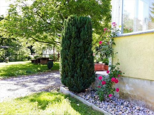 Apartman Majeti?