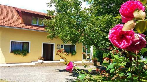 Apartman Majeti?
