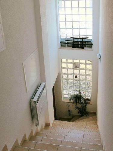 Apartman Ruza 2