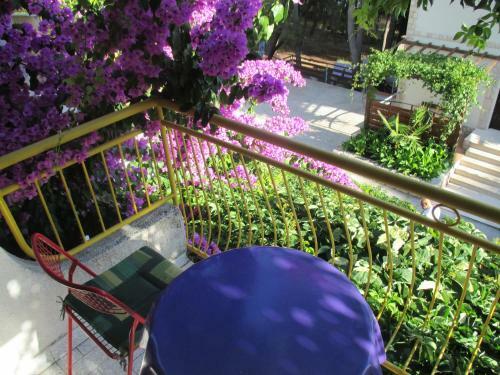 Apartmani Godo
