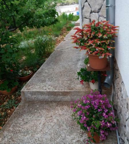 Apartman Lea