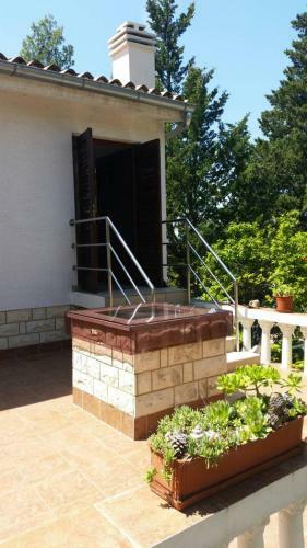Apartamentos Villa Jaz