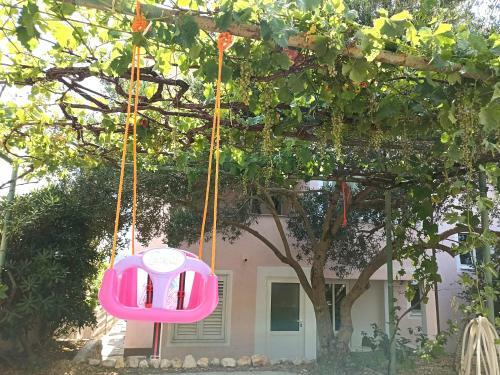 Apartmani Daniela