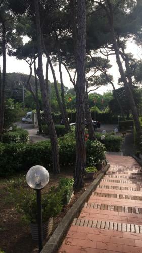 Apartamento Monolocale In Residence