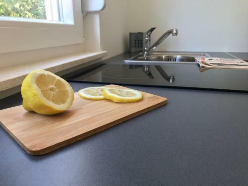 Studio Apartman Fani