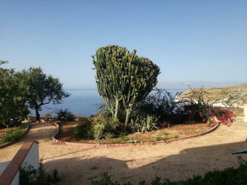 Hostal Case Vacanze Irene