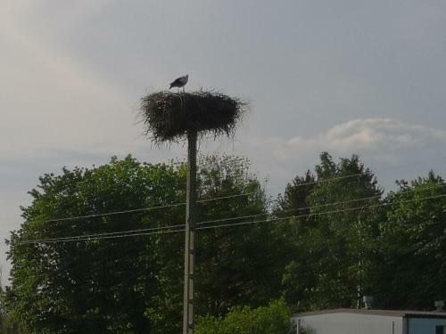 Apartament Bocian