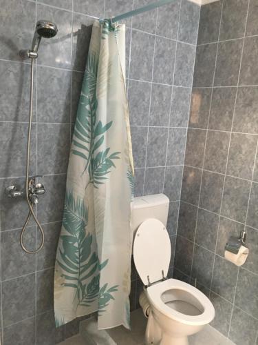 Hostal Casa Alb?